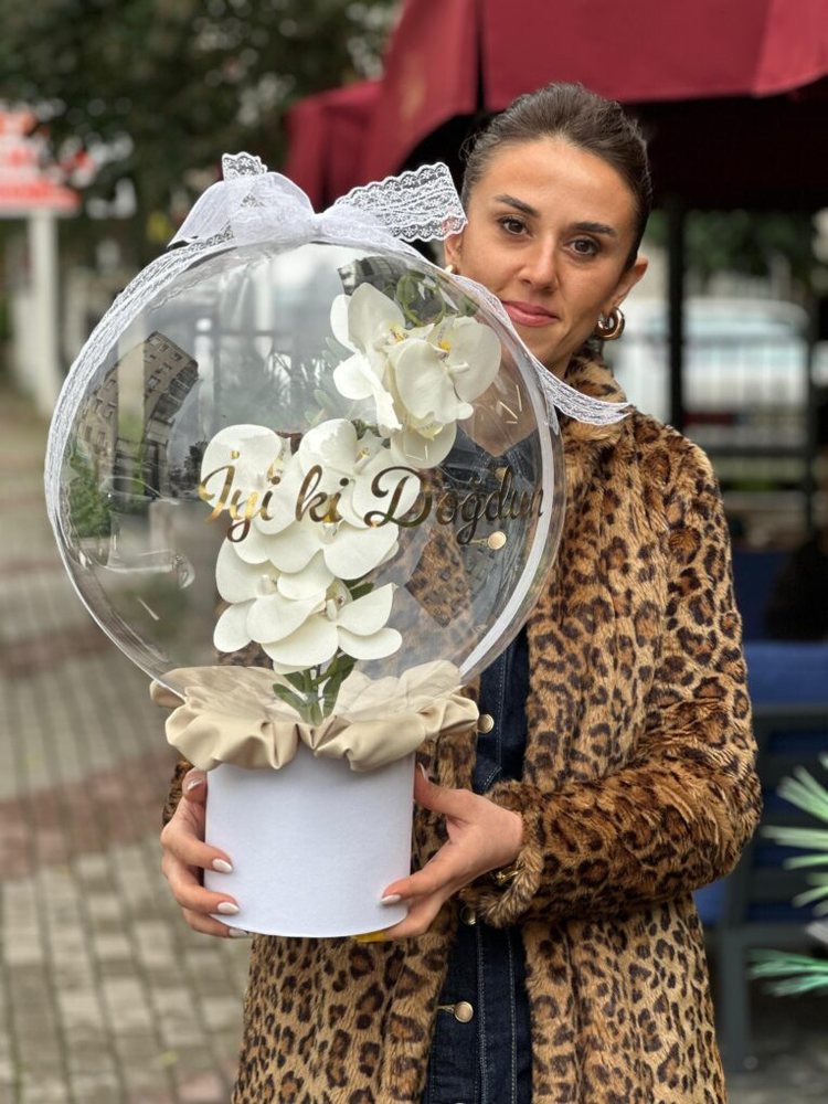 Orkide Rüyası