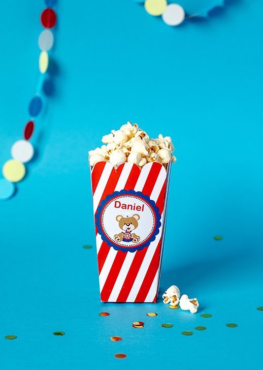Teddy Sailor Popcorn Kutuları